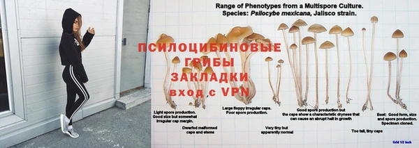 а пвп мука Верея