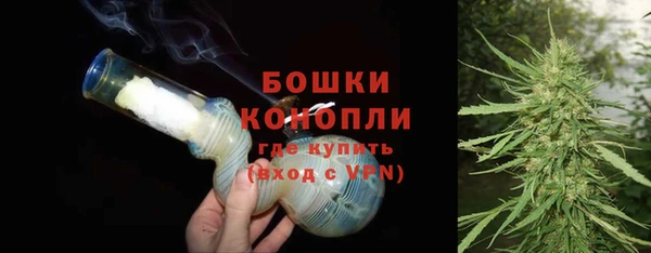 бошки Бронницы