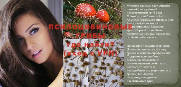 а пвп мука Верея