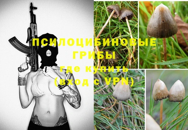бошки Бронницы
