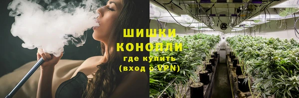 бошки Бронницы