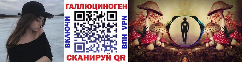 Псилоцибиновые грибы Magic Shrooms  Кингисепп 
